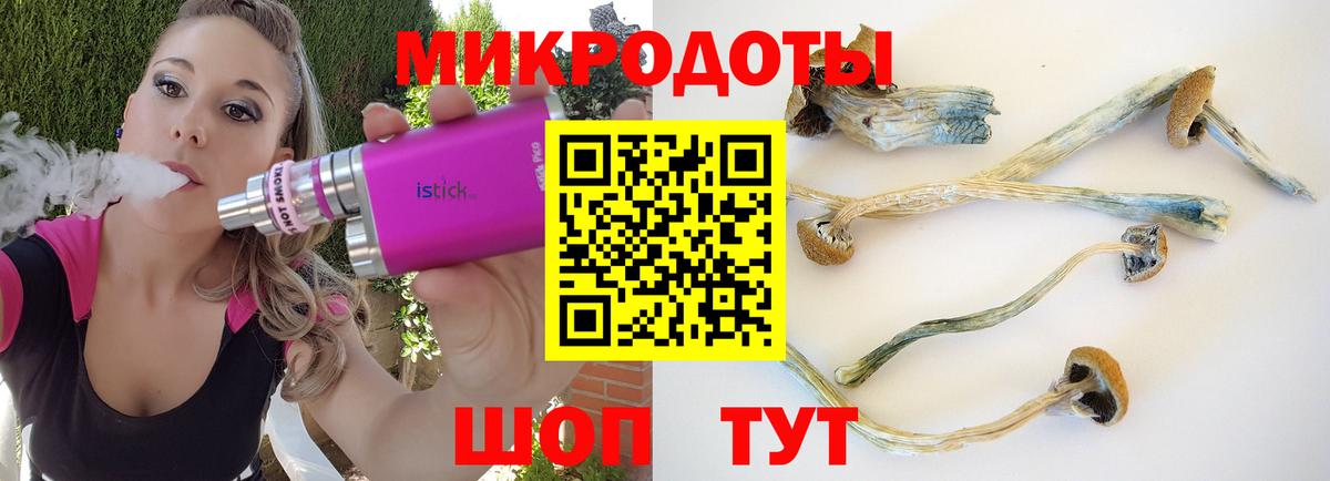 Галлюциногенные грибы MAGIC MUSHROOMS Геленджик